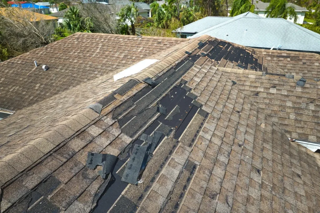 Our Roof Services for All Your Needs